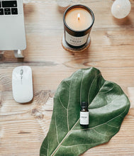 Load image into Gallery viewer, Focus - rosemary, eucalyptus & orange